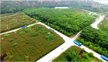 杭州常林-綠色礦山建設，為何鐘情山推挖掘機—湖州美卓礦業